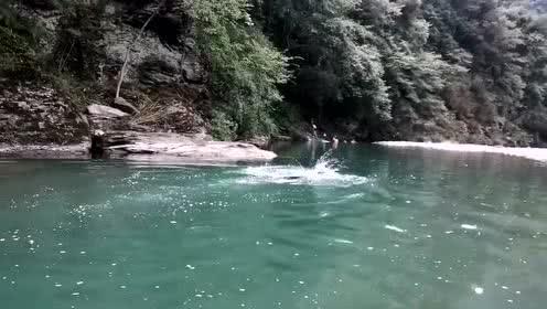 三秋六夏是指什么生肖呀?—全网最全的有问必答平台